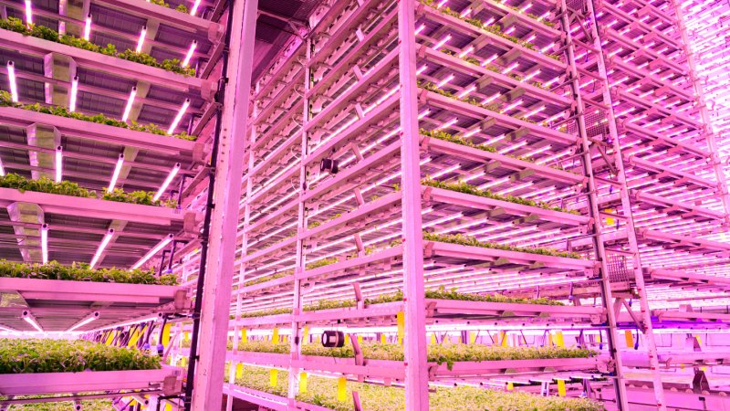 A photo featuring vertical farming